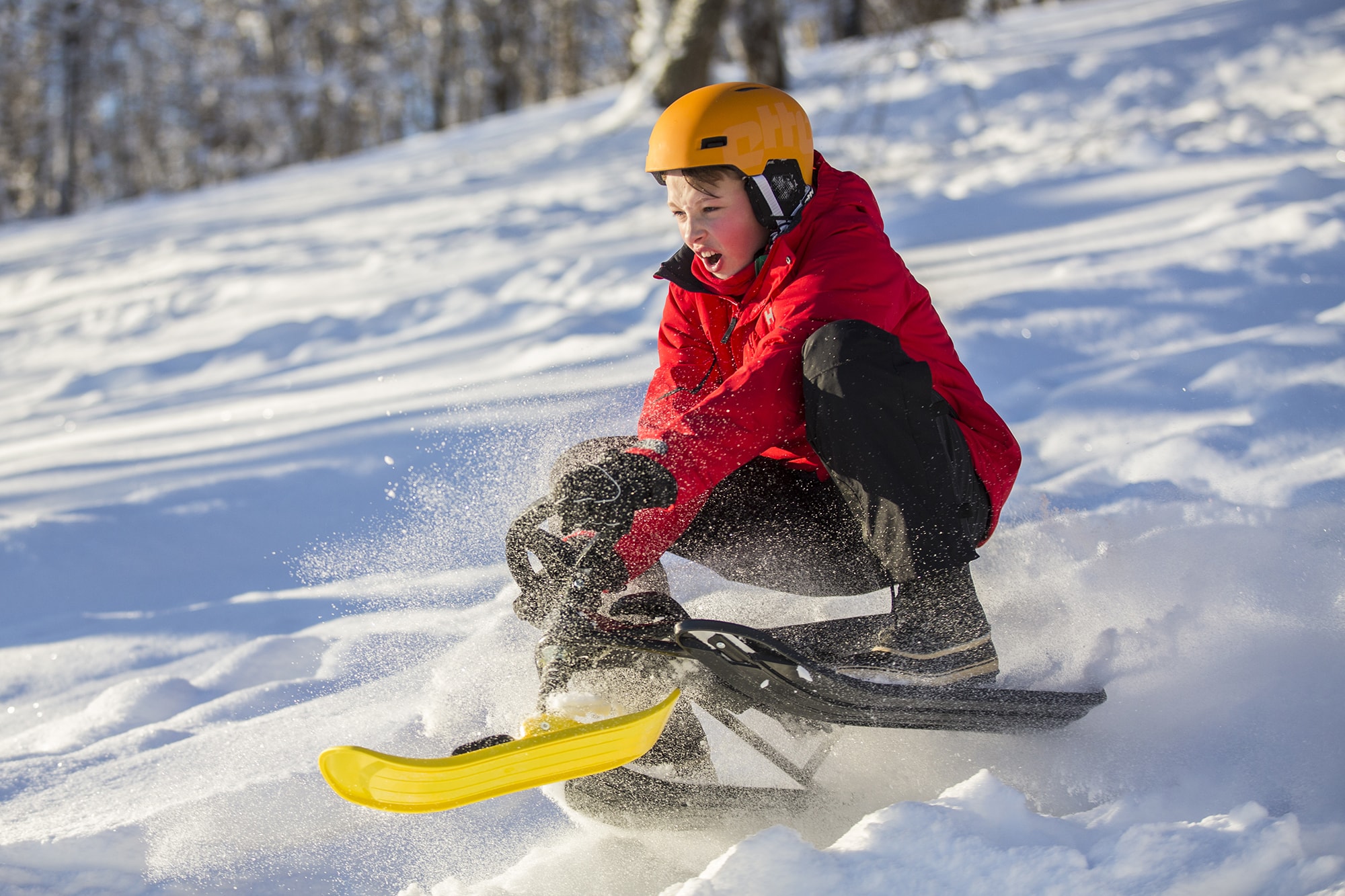 HAMAX | Snow Sleds & Carts